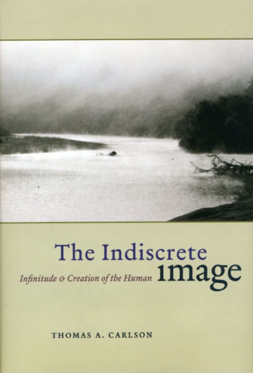 The Indiscrete Image