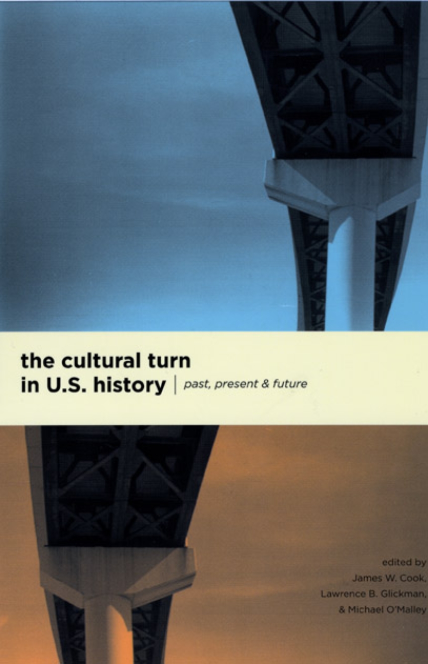 The Cultural Turn in U. S. History