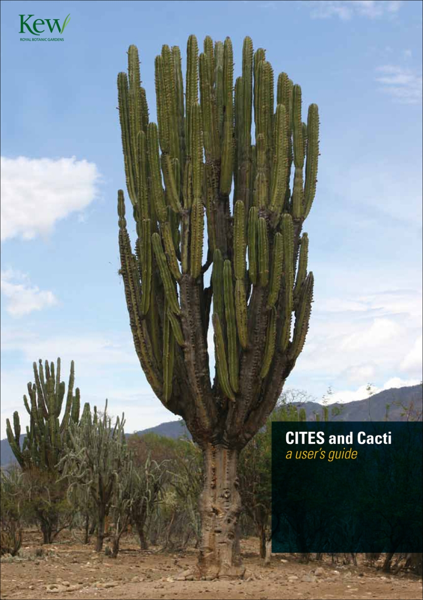 CITES and Cacti