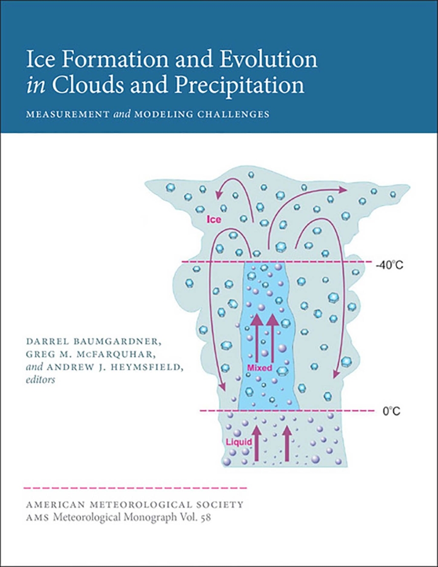 Ice Formation and Evolution in Clouds and Precipitation