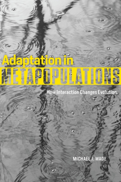 Adaptation in Metapopulations: How Interaction Changes Evolution