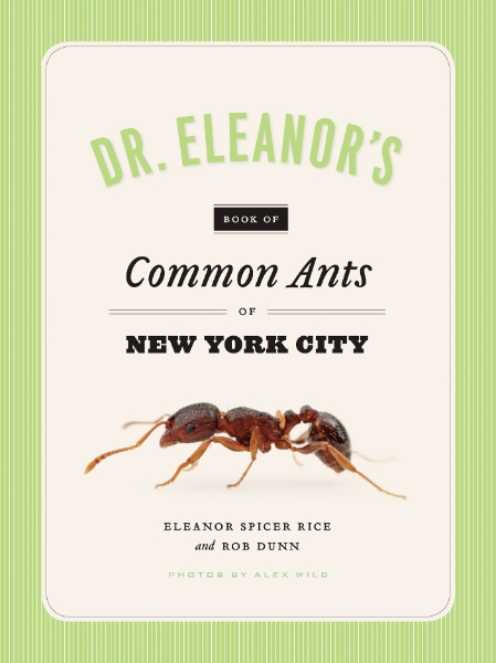 Dr. Eleanor’s Book of Common Ants of New York City