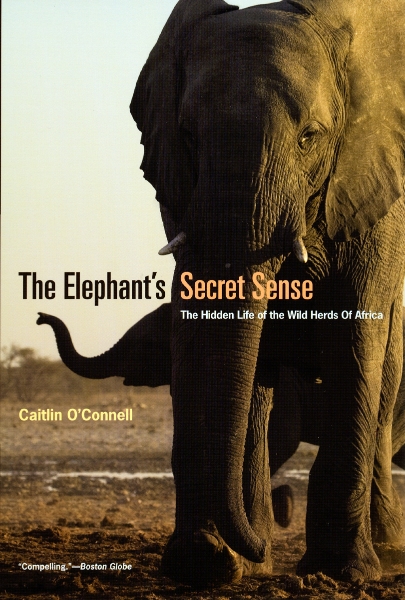 The Elephant’s Secret Sense: The Hidden Life of the Wild Herds of Africa