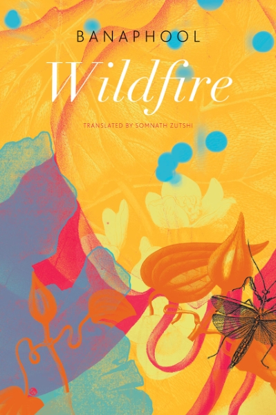 Wildfire: And Other Stories