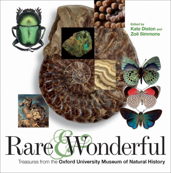 Rare and Wonderful: Treasures from the Oxford University Museum of Natural History