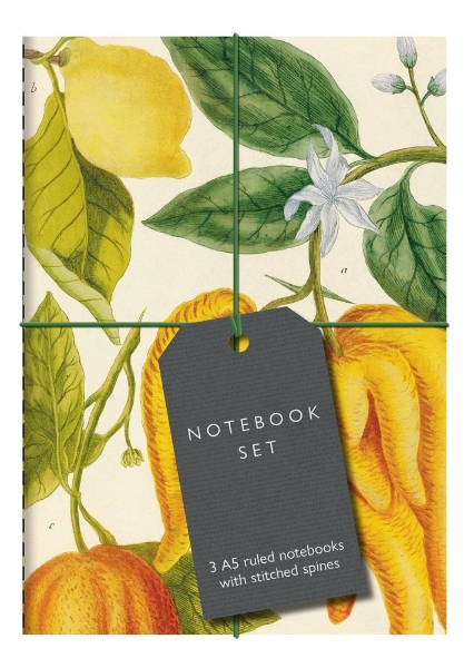 Botanical Art Notebook Set - Lemon, Chillis and Apples: 3 A5 Ruled Notebooks with Stitched Spines