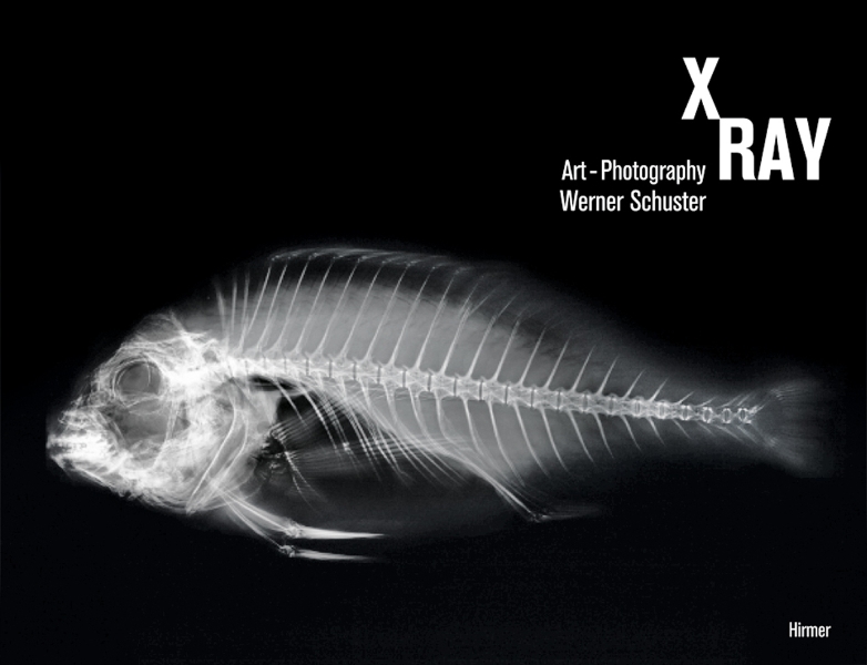 X-Ray: Art-Photography