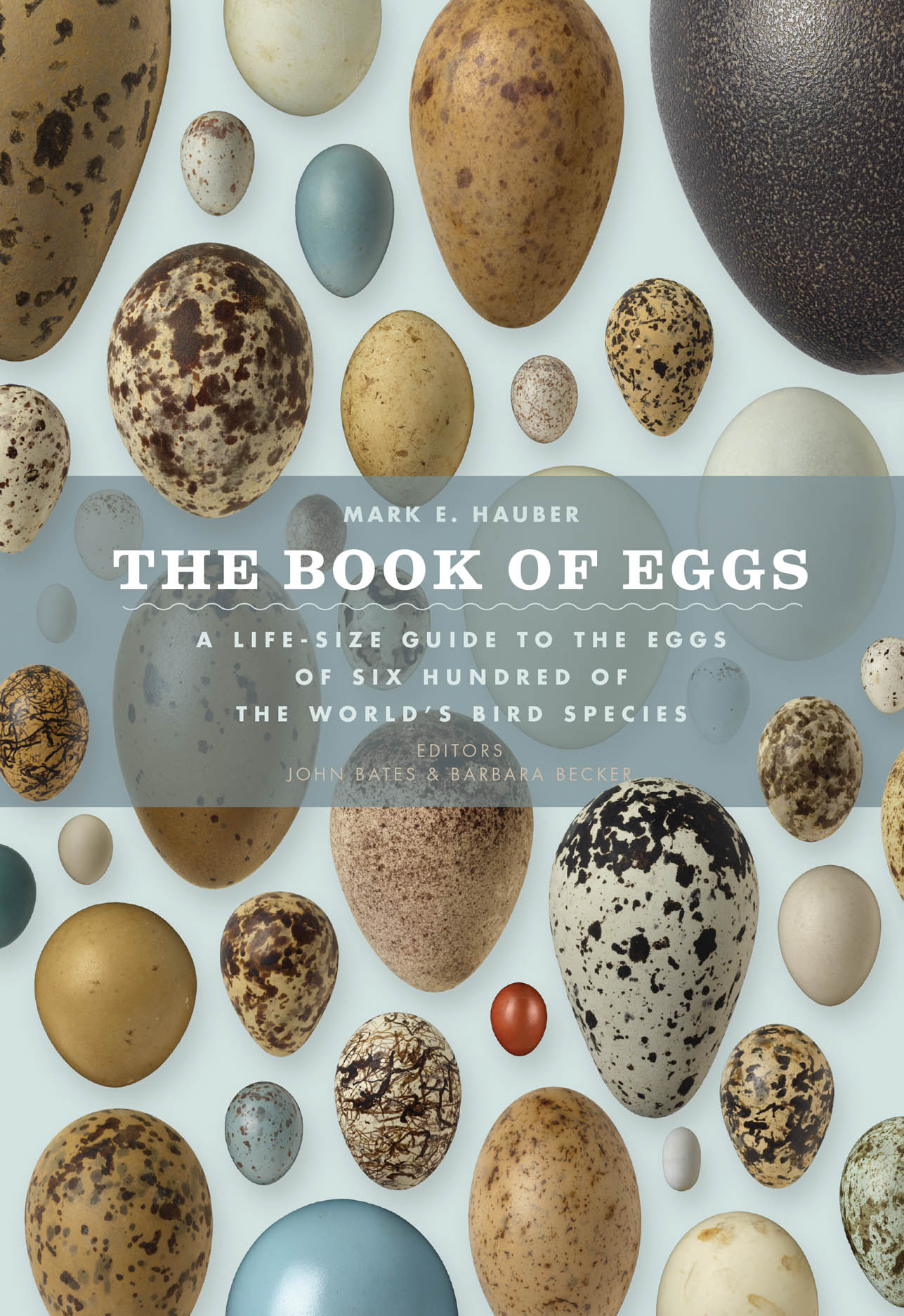The Book of Eggs A LifeSize Guide to the Eggs of Six Hundred of the