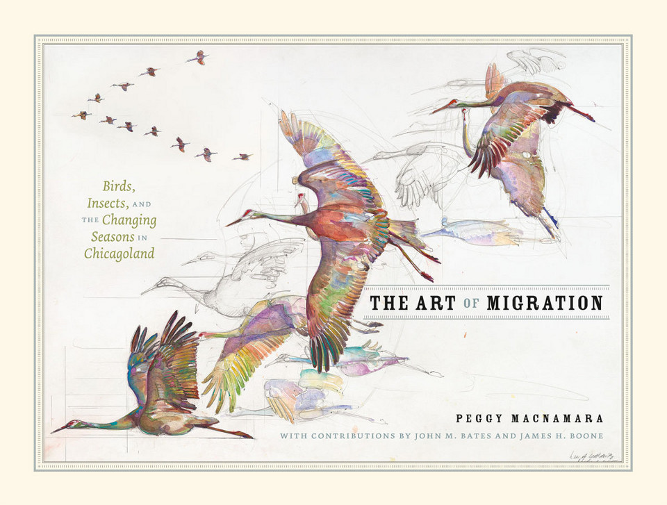 “The Art of Migration” Jacket Cover