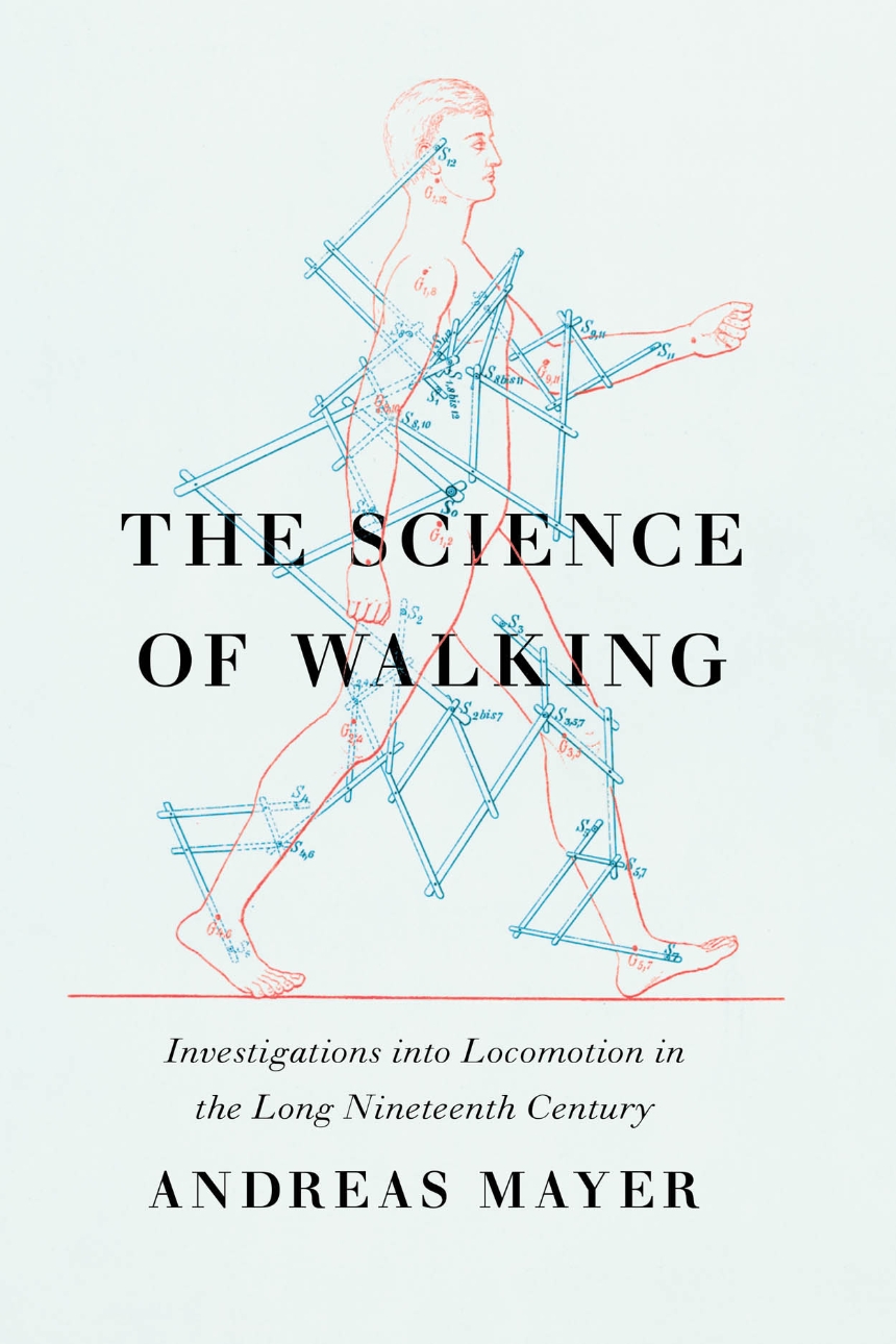 The Science of Walking