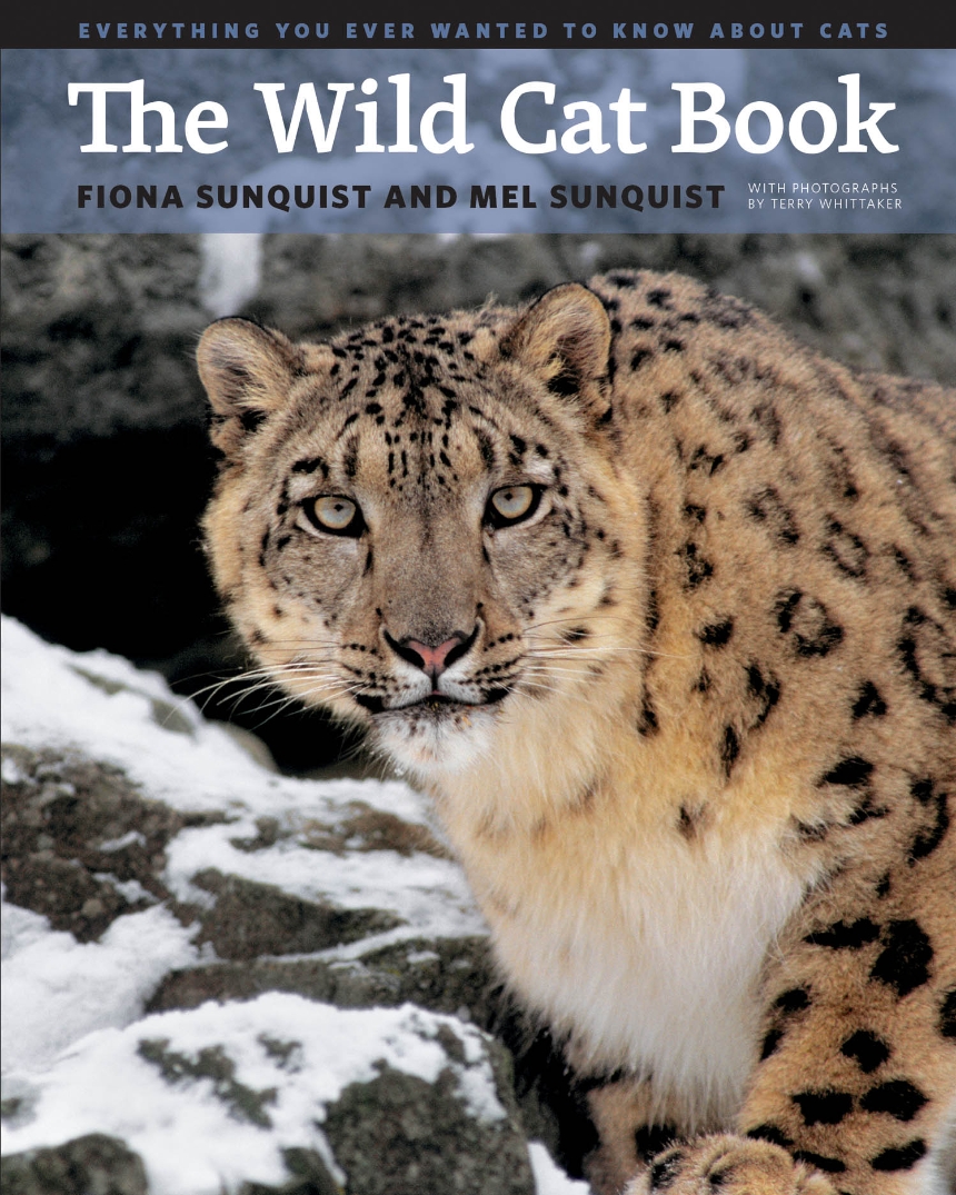 The Wild Cat Book