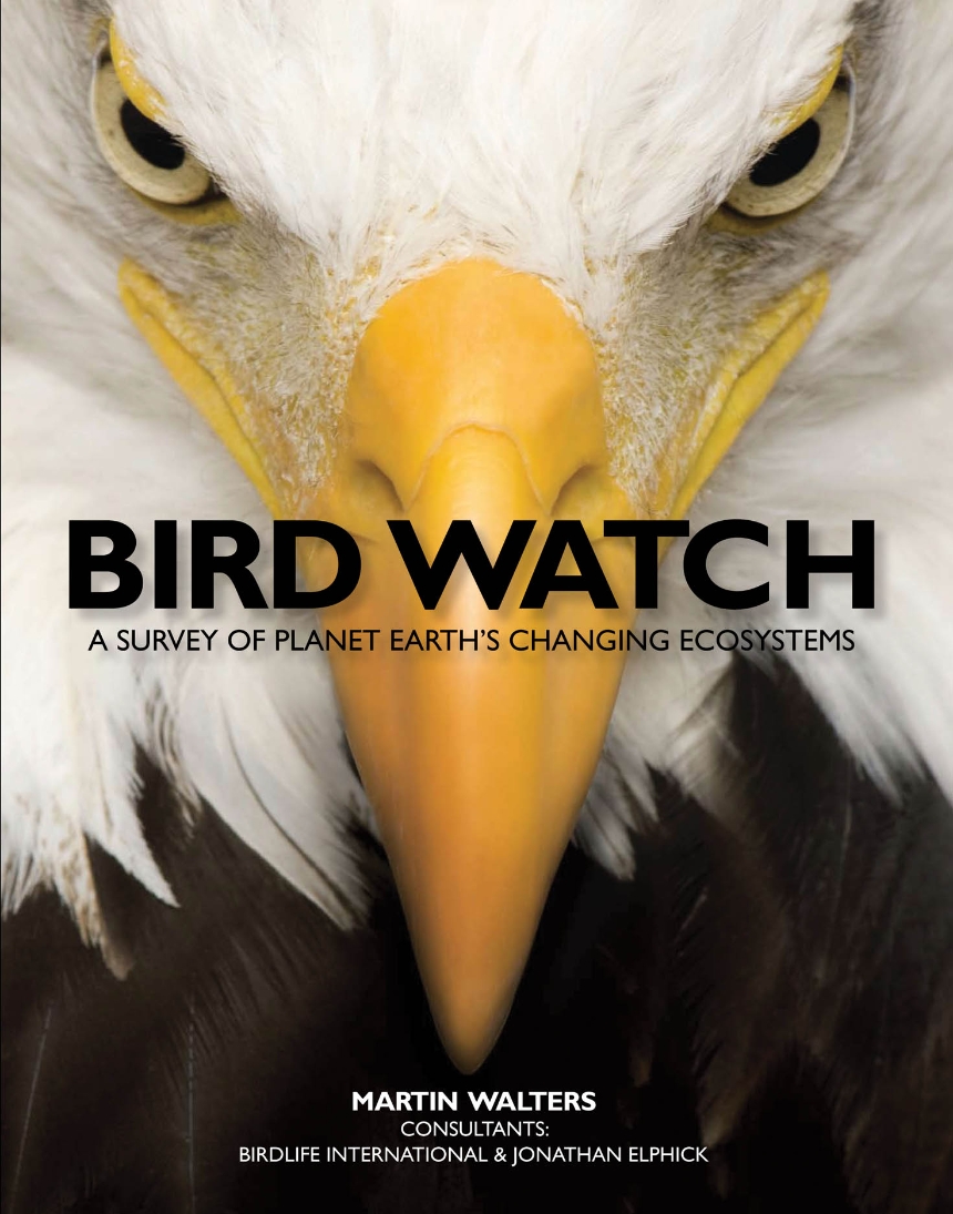 Bird Watch