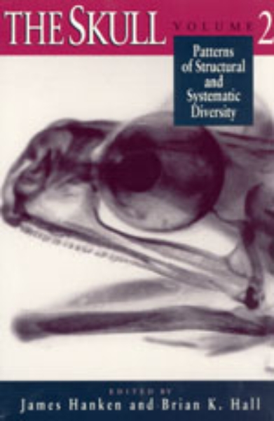 The Skull, Volume 2: Patterns of Structural and Systematic Diversity
