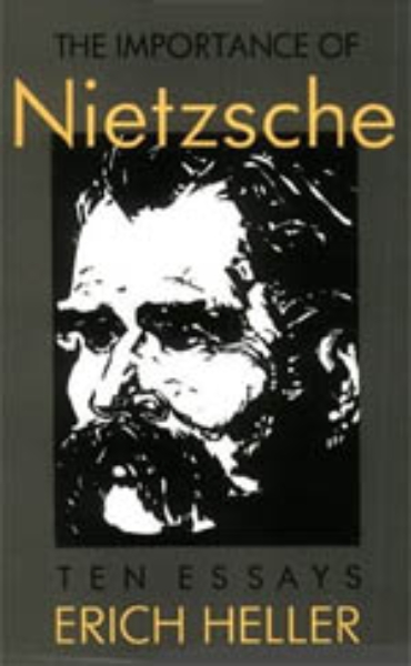 The Importance of Nietzsche