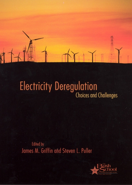 Electricity Deregulation: Choices and Challenges