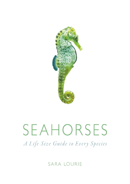 Seahorses: A Life-Size Guide to Every Species