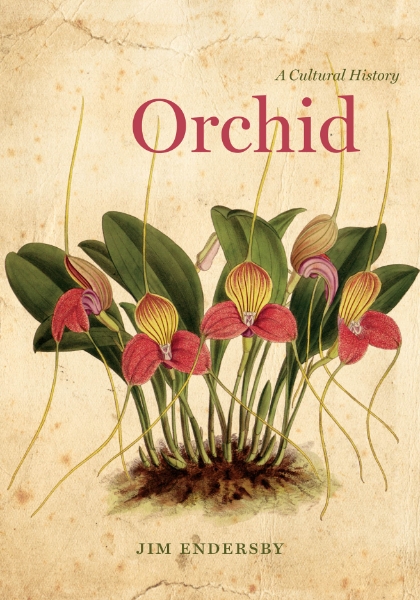 Orchid: A Cultural History
