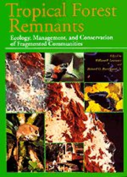 Tropical Forest Remnants: Ecology, Management, and Conservation of Fragmented Communities