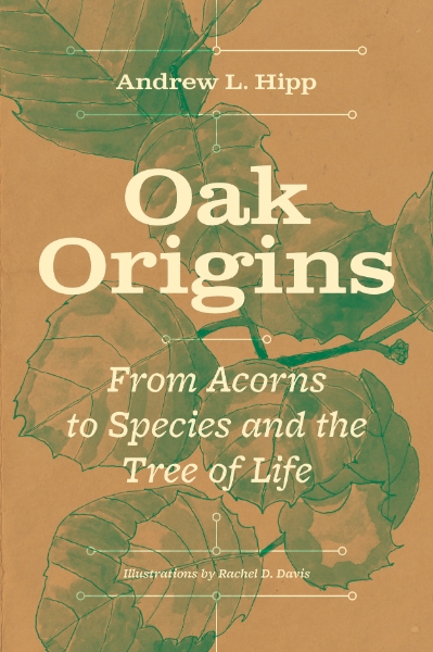 Oak Origins: From Acorns to Species and the Tree of Life